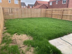 Garden- click for photo gallery